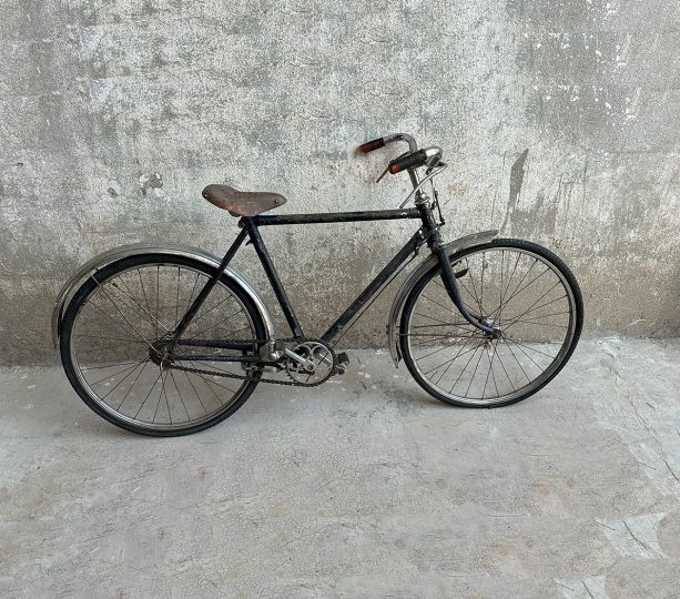 Foto